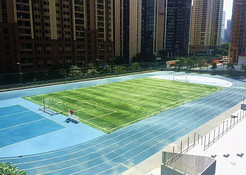 1554219447986977.jpg 2.jpg